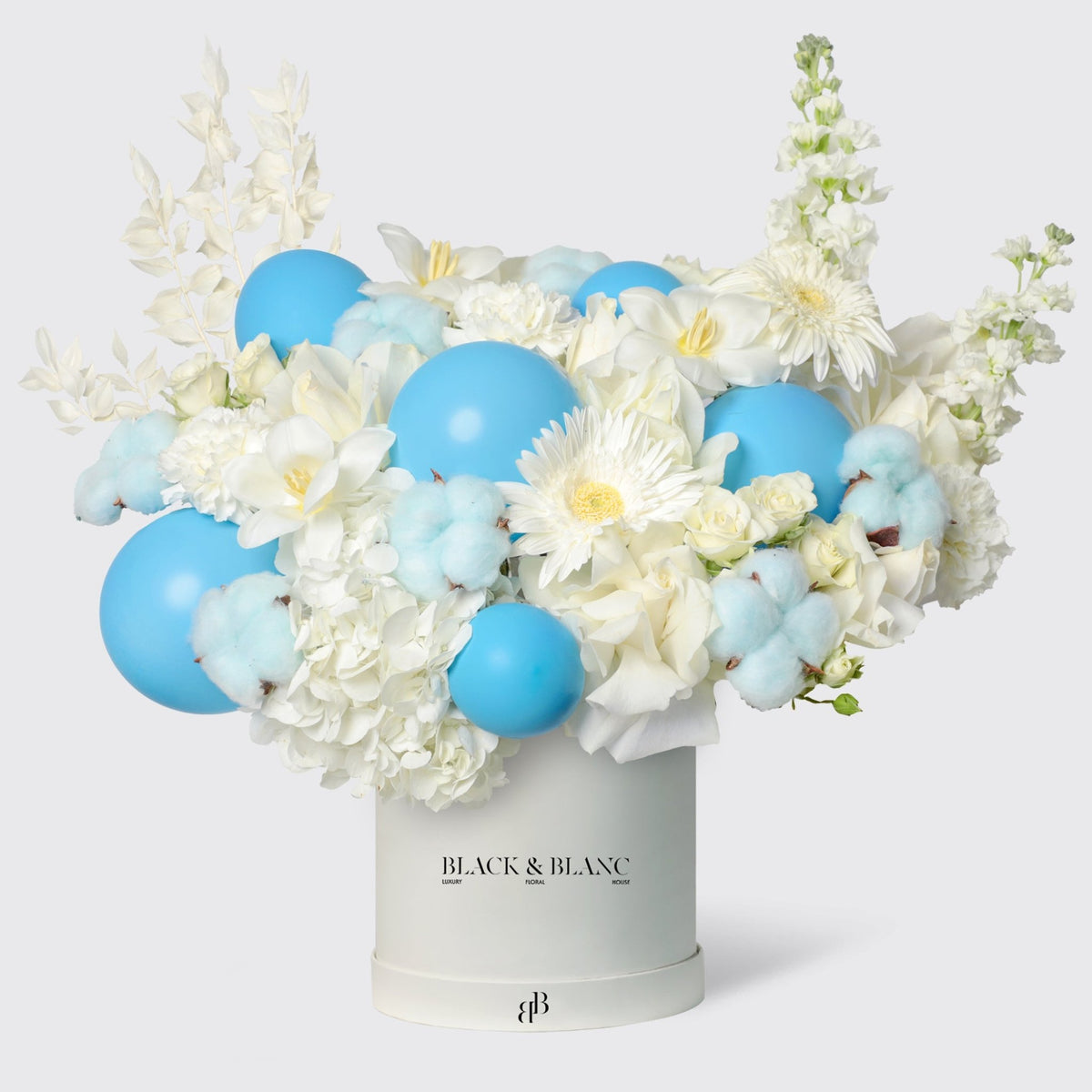 Blue Sky in Box - BLACK AND BLANC