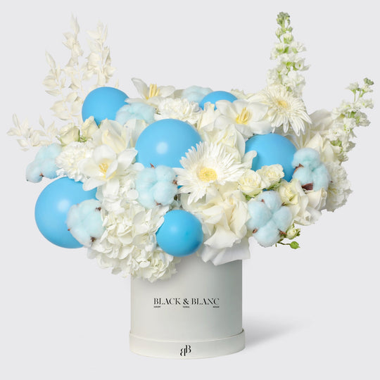 Blue Sky in Box - BLACK AND BLANC