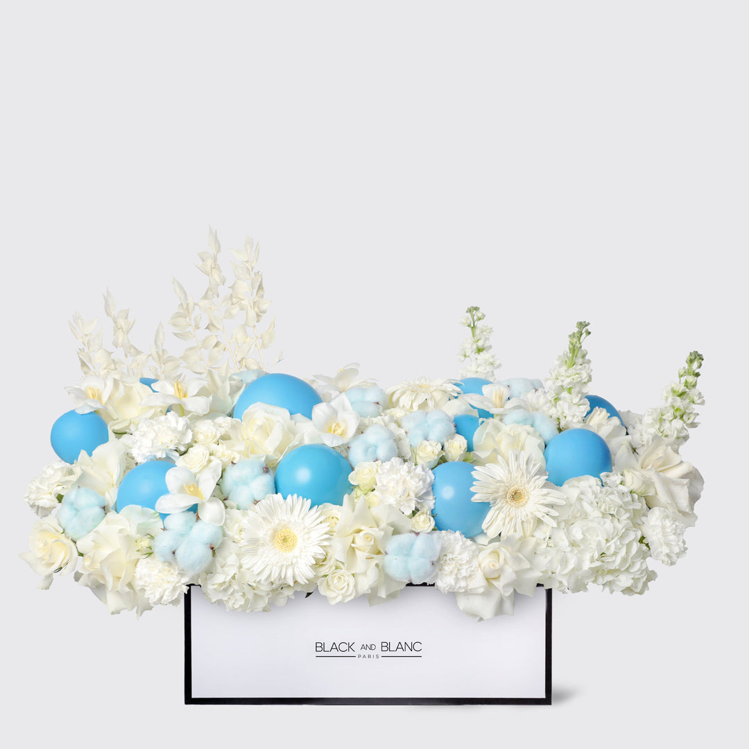 Blue Sky in Half Meter Box wd