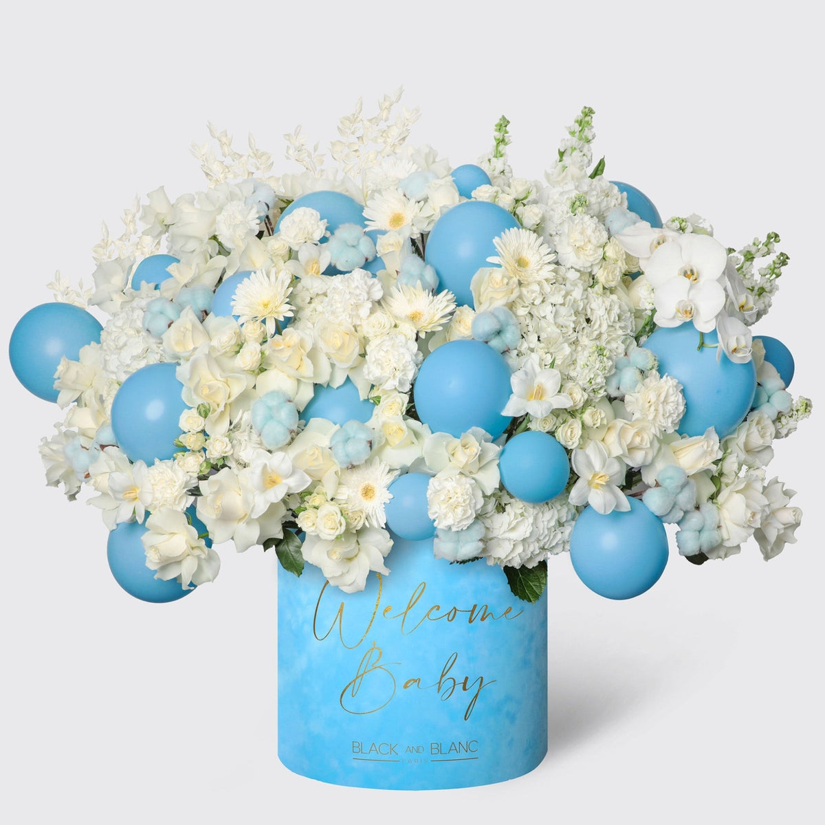 Blue Sky in Opus Box - BLACK AND BLANC