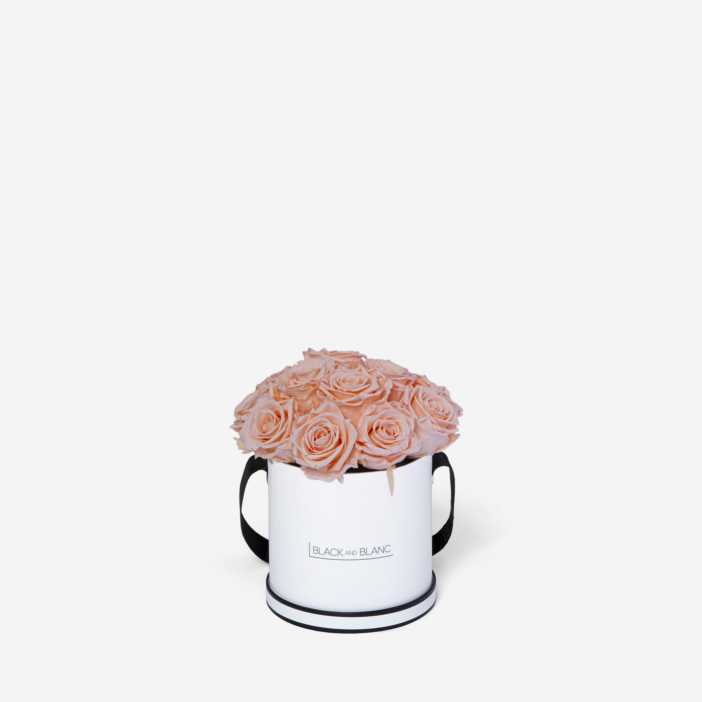 Blush BouqBox - Infinity Roses - BLACK AND BLANC