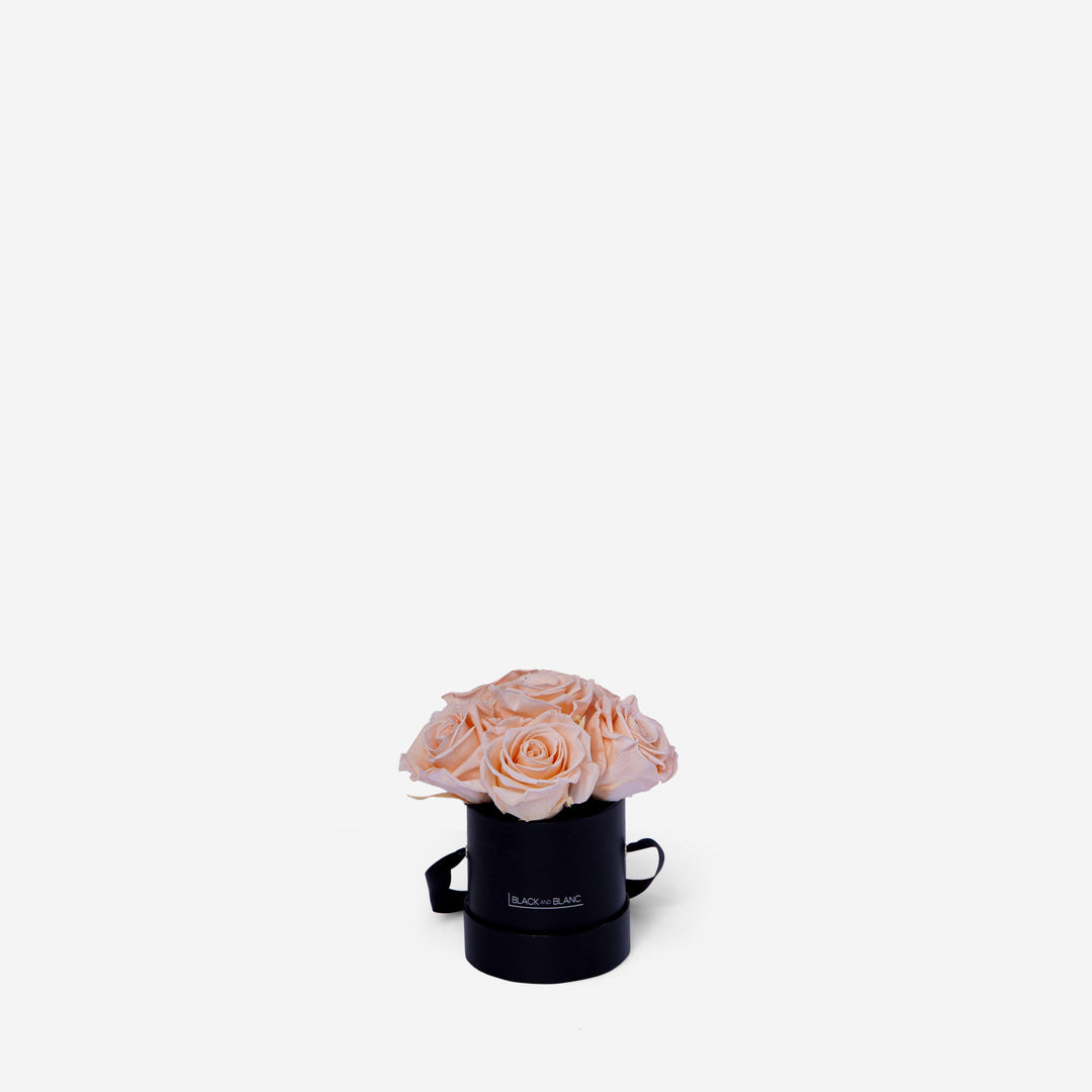 Blush BouqBox - Infinity Roses - BLACK AND BLANC