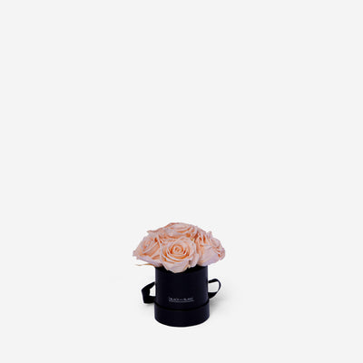 Blush BouqBox - Infinity Roses - BLACK AND BLANC