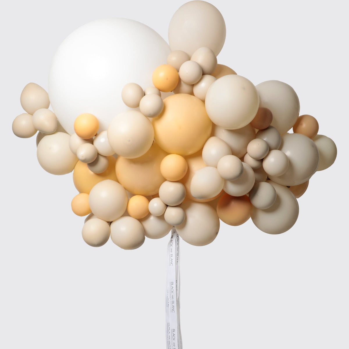 Blush Cloud Balloons - BLACK AND BLANC