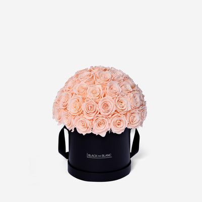 Blush Dôme Classic - Infinity Roses - BLACK AND BLANC