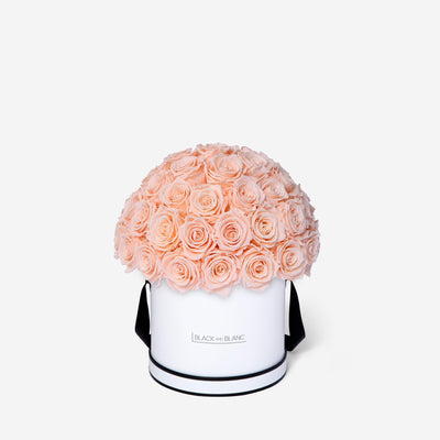 Blush Dôme Classic - Infinity Roses - BLACK AND BLANC