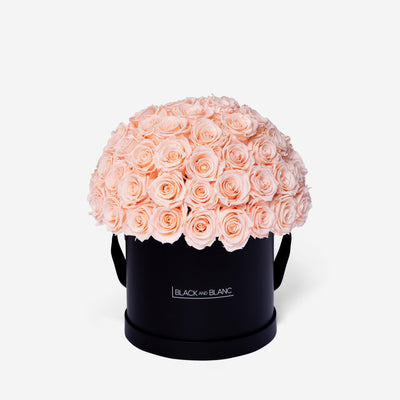 Blush Dôme Classic - Infinity Roses - BLACK AND BLANC