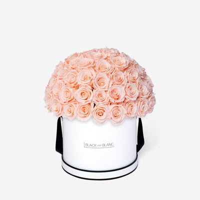 Blush Dôme Classic - Infinity Roses - BLACK AND BLANC