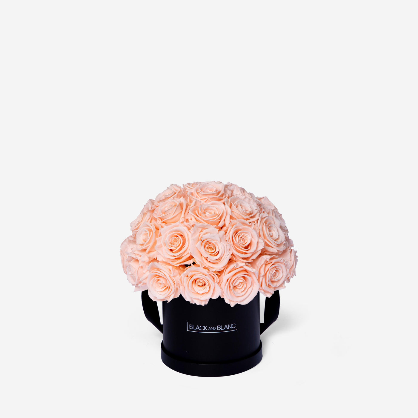 Blush Dôme Classic - Infinity Roses - BLACK AND BLANC