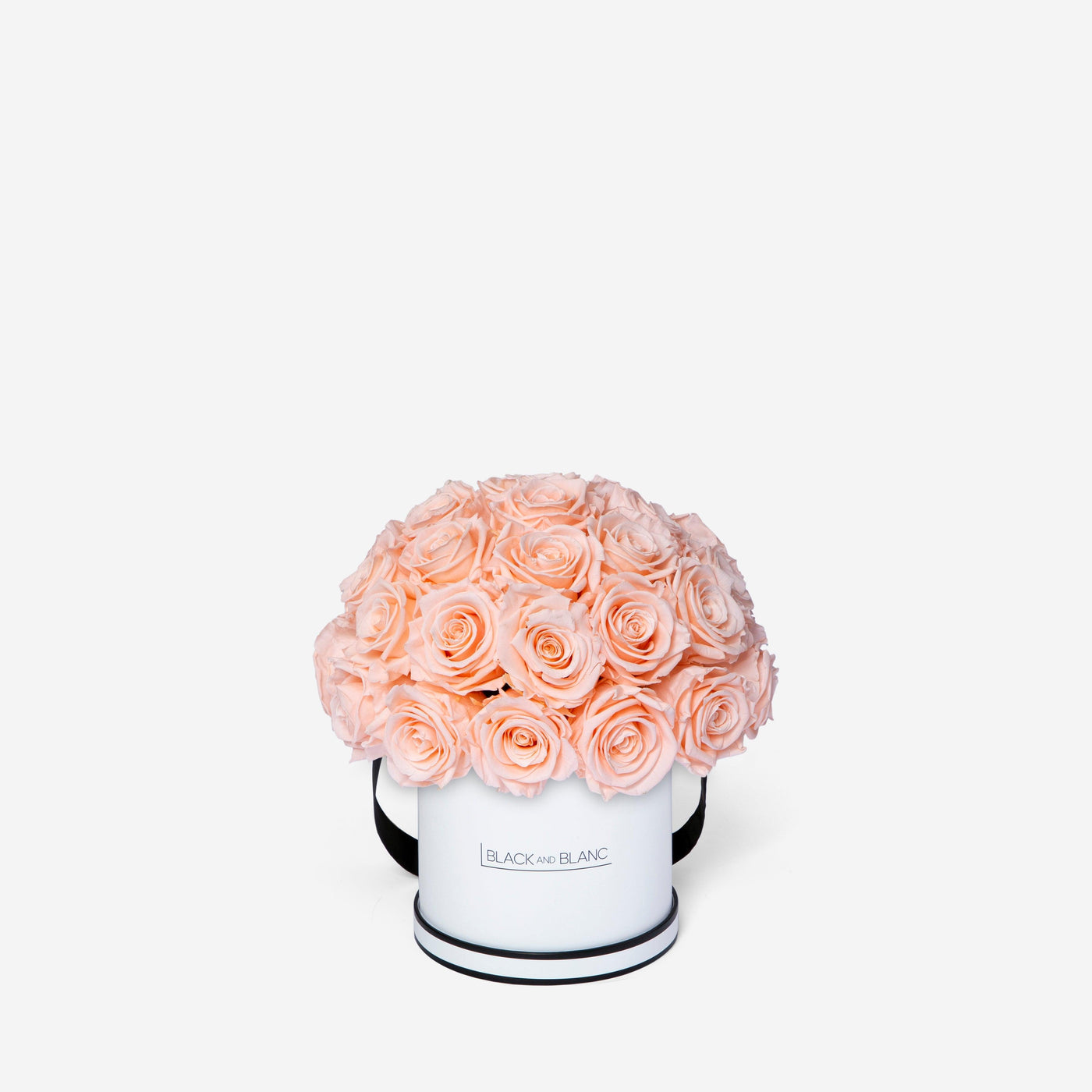 Blush Dôme Classic - Infinity Roses - BLACK AND BLANC