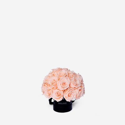 Blush Dôme Classic - Infinity Roses - BLACK AND BLANC