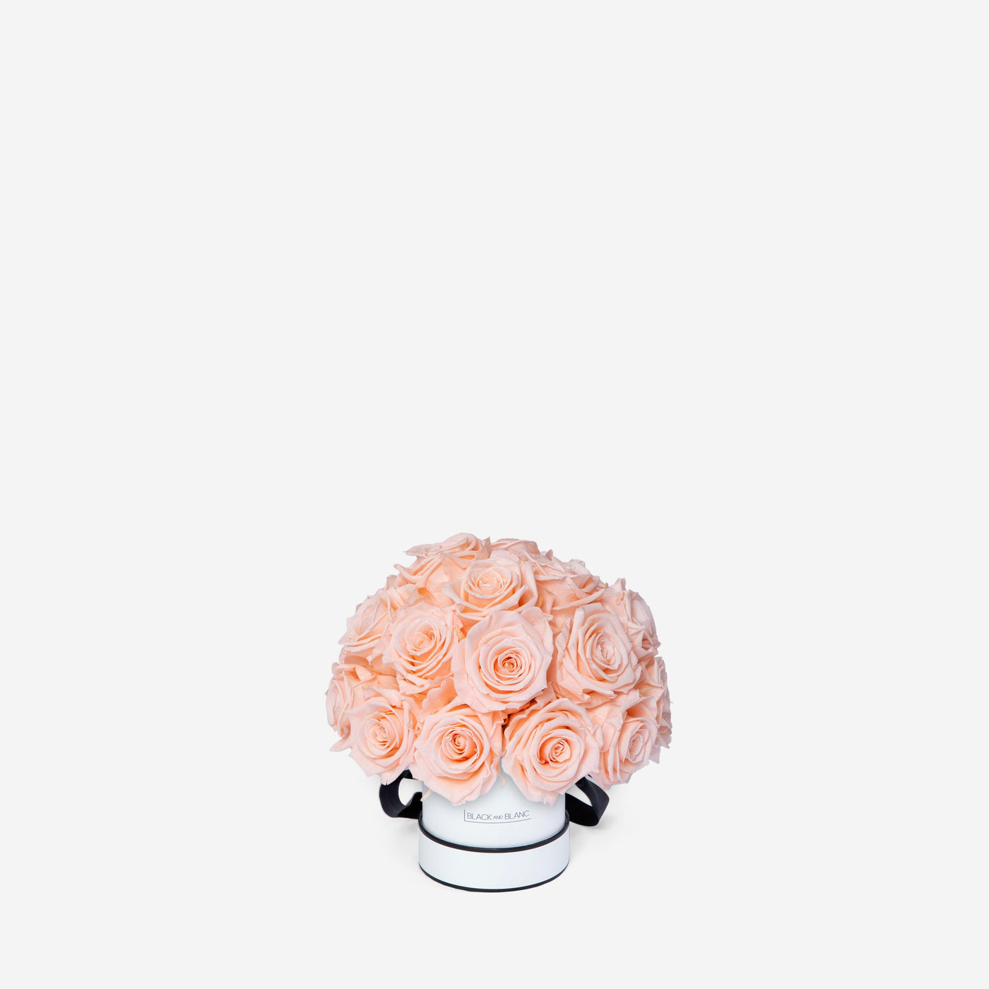 Blush Dôme Classic - Infinity Roses - BLACK AND BLANC