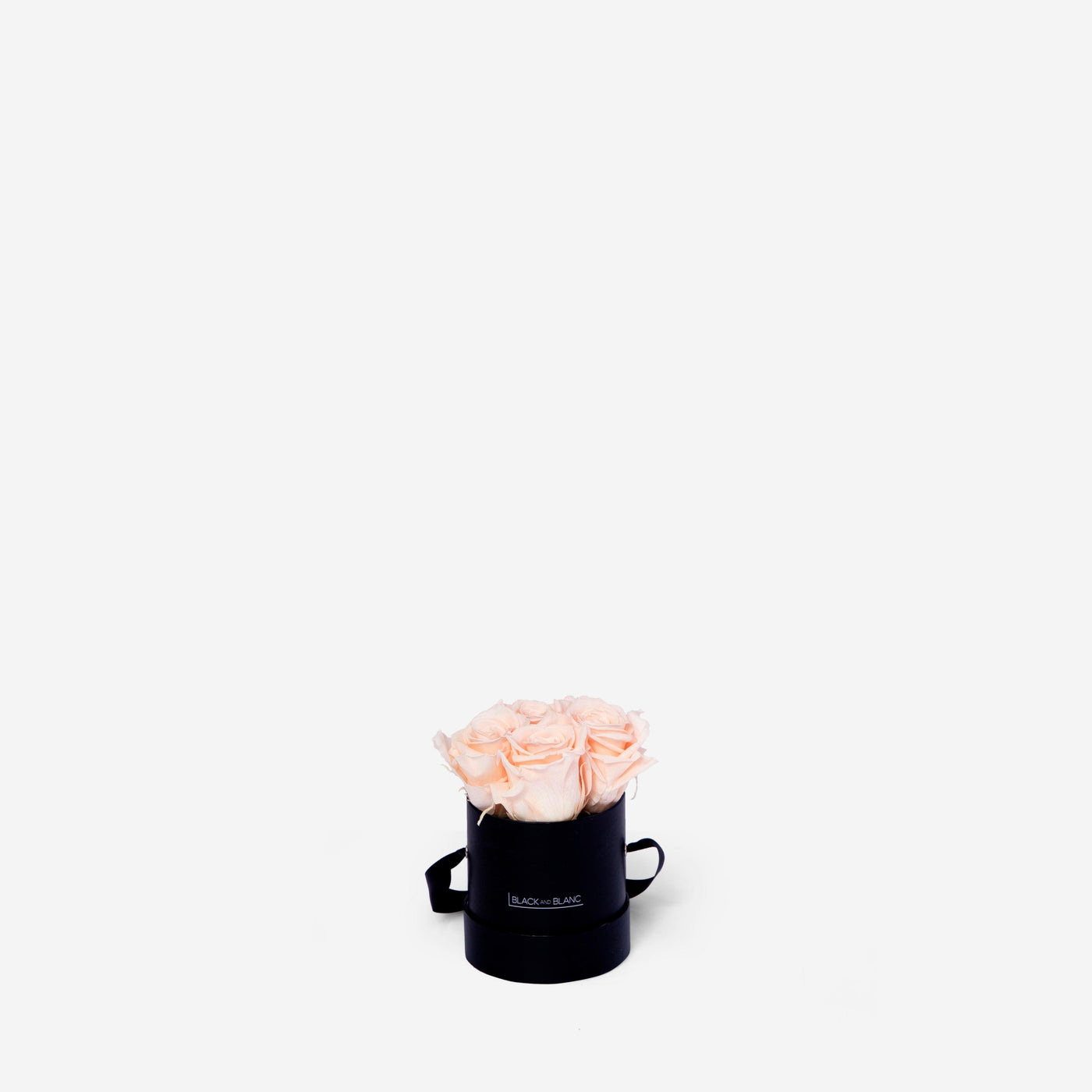 Blush Round - Infinity Roses - BLACK AND BLANC