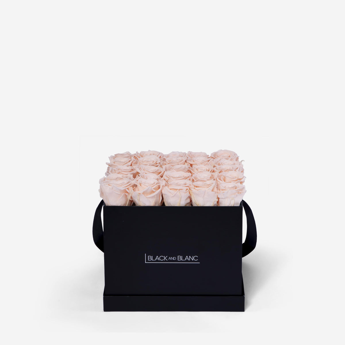 Blush Square Infinity - Infinity Roses - BLACK AND BLANC