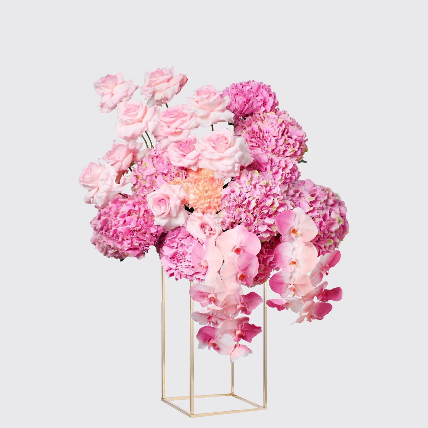 Blush Welcome - BLACK AND BLANC
