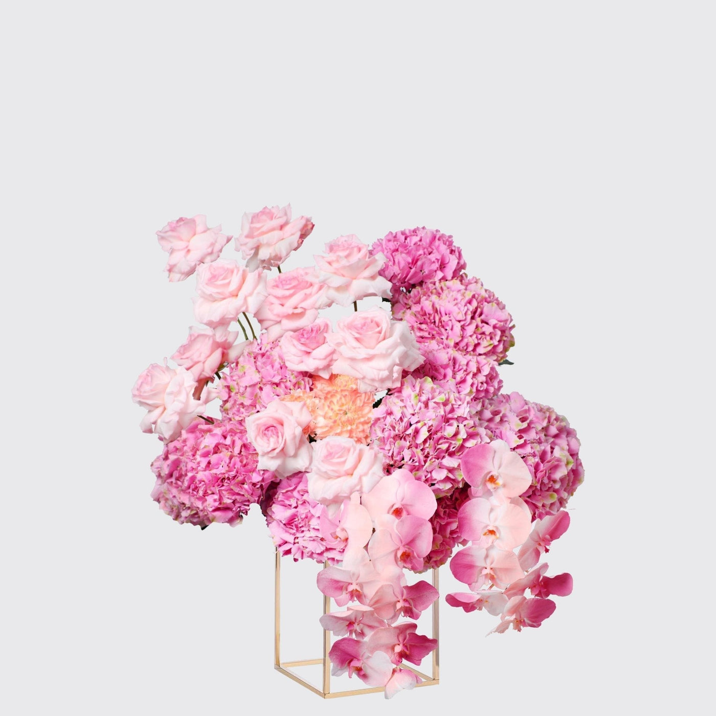Blush Welcome - BLACK AND BLANC