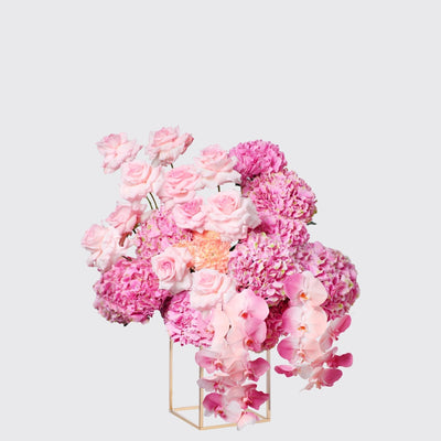 Blush Welcome - BLACK AND BLANC