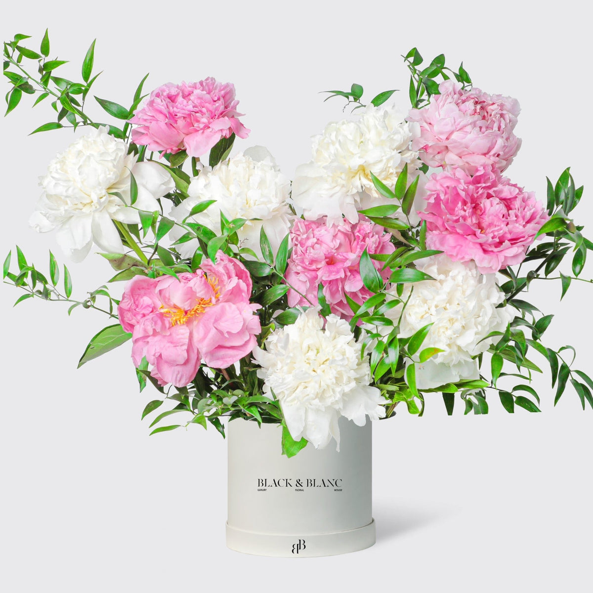 Blush White peonies in Box - BLACK AND BLANC