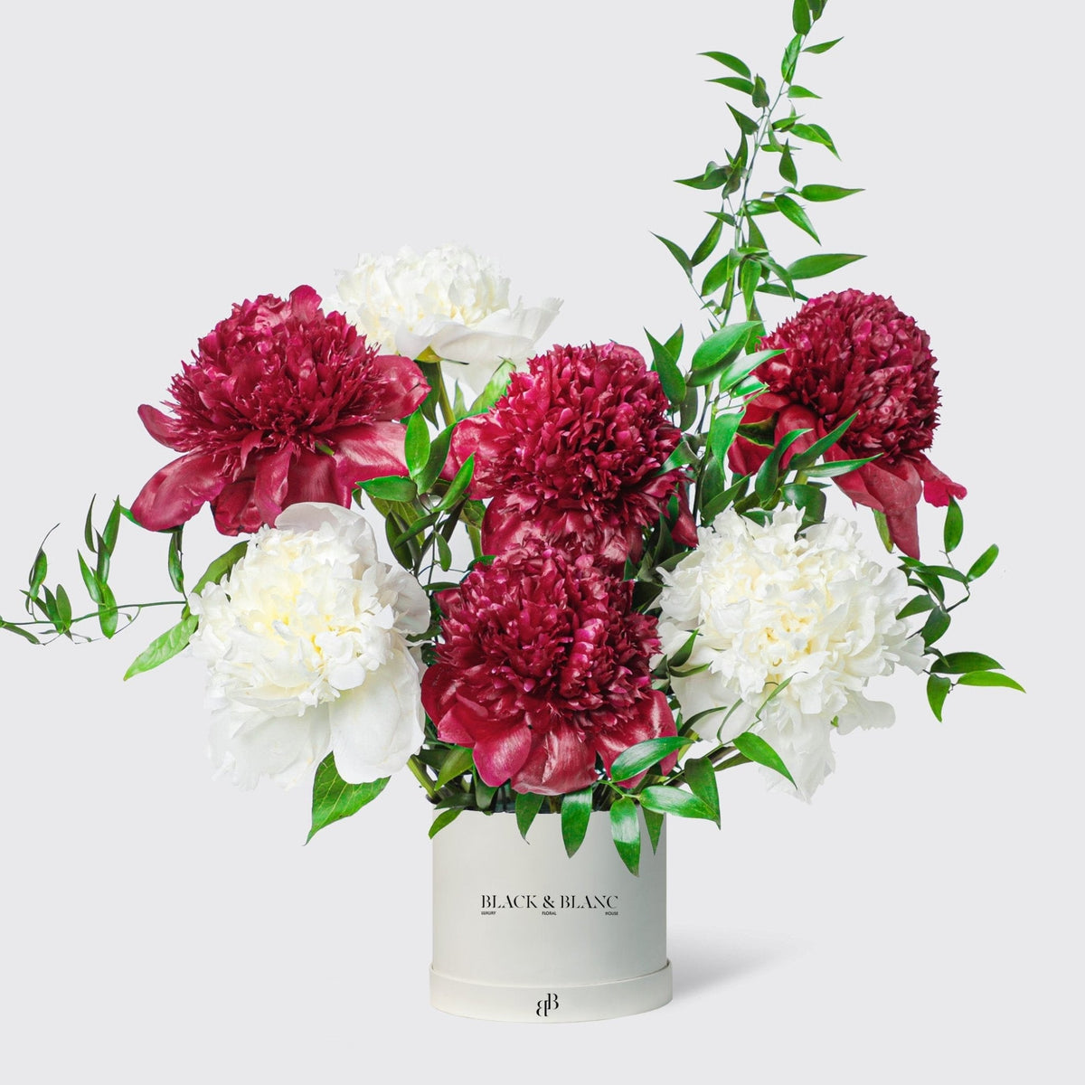 Blush White peonies in Box - BLACK AND BLANC