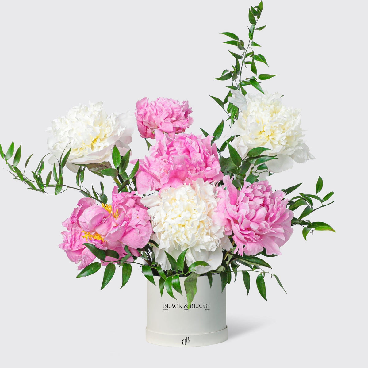Blush White peonies in Box - BLACK AND BLANC