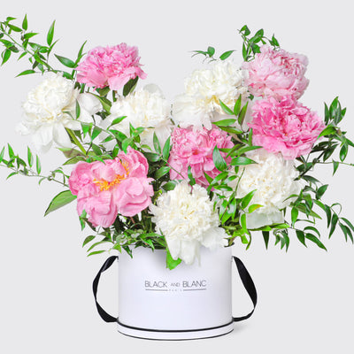 Blush White peonies in Box - Le Grand / White