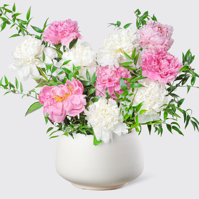 Blush White peonies in Vase - BLACK AND BLANC