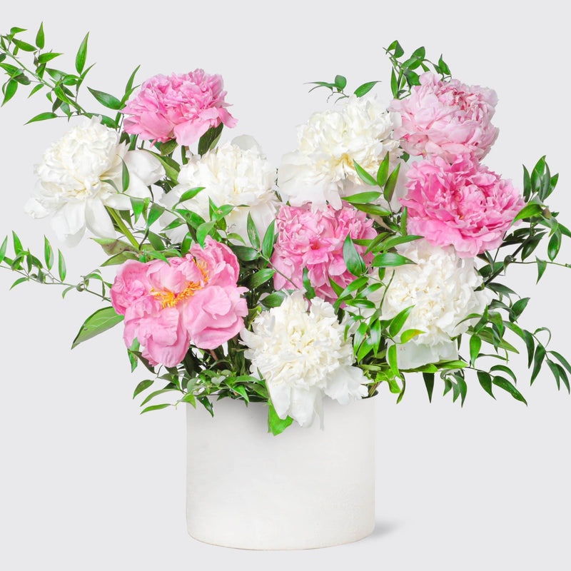 Blush White peonies in Vase - BLACK AND BLANC