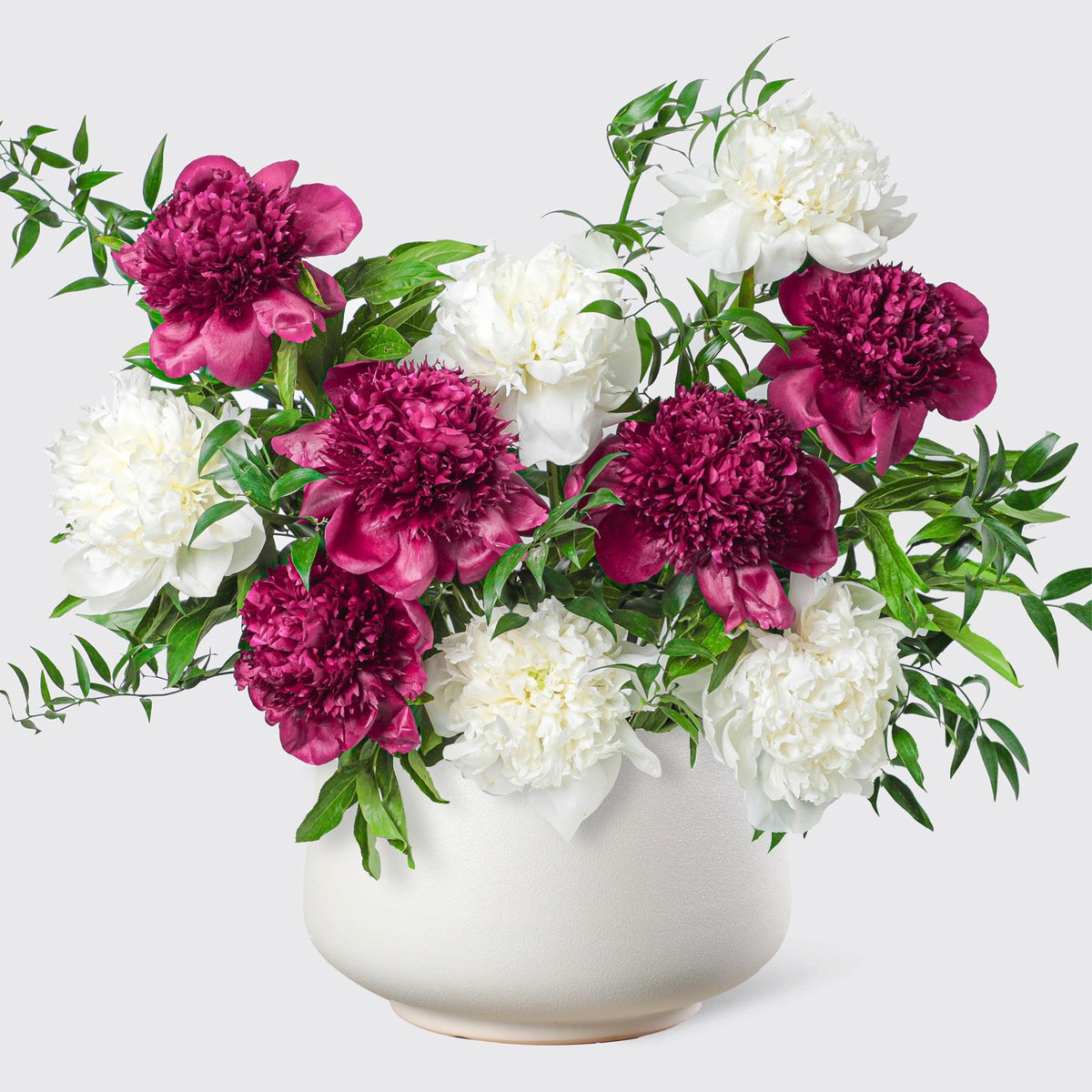 Blush White peonies in Vase - BLACK AND BLANC