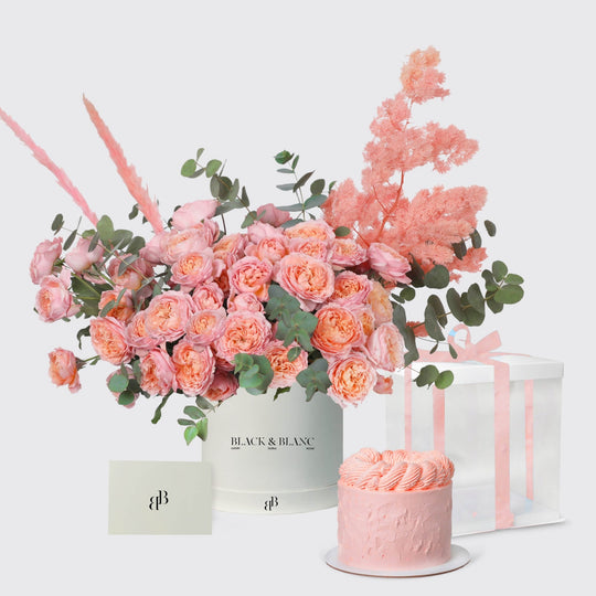 Blushing Beauty Set - BLACK AND BLANC
