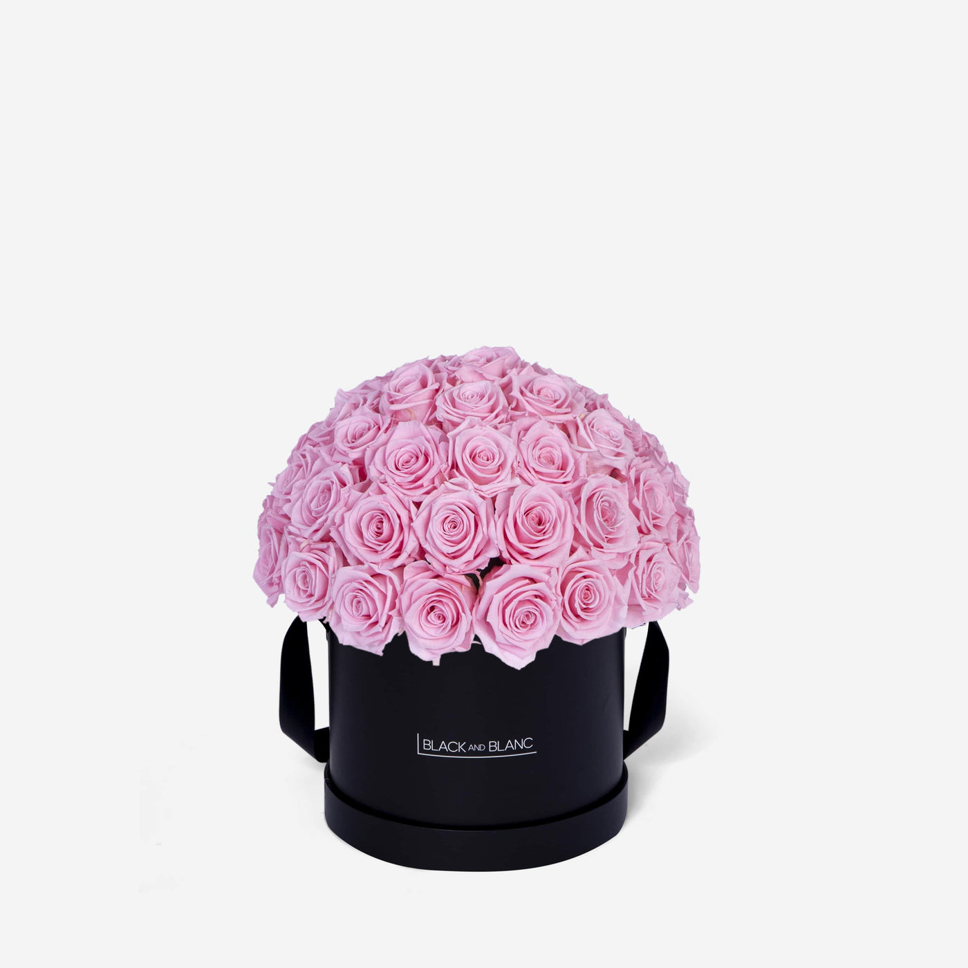 Bridal Pink Dôme Classic - Infinity Roses - BLACK AND BLANC