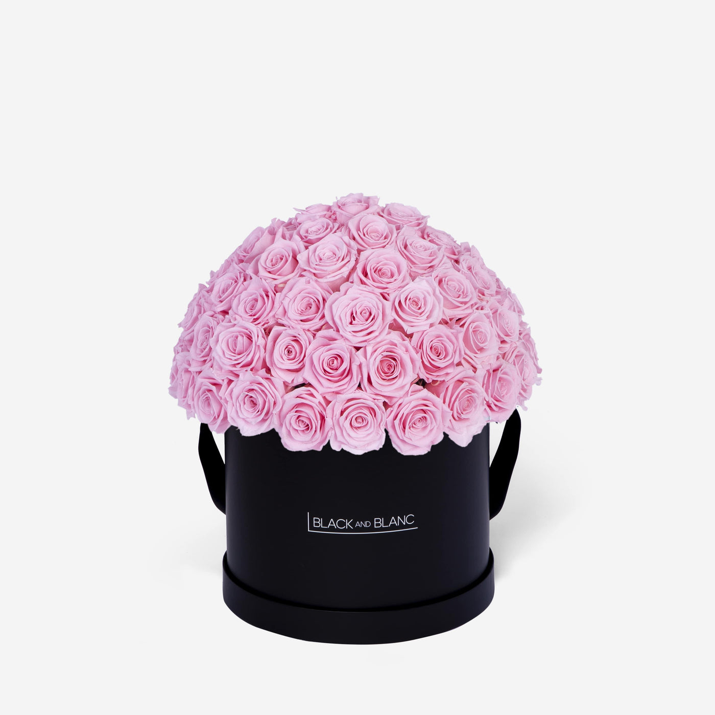 Bridal Pink Dôme Classic - Infinity Roses - BLACK AND BLANC