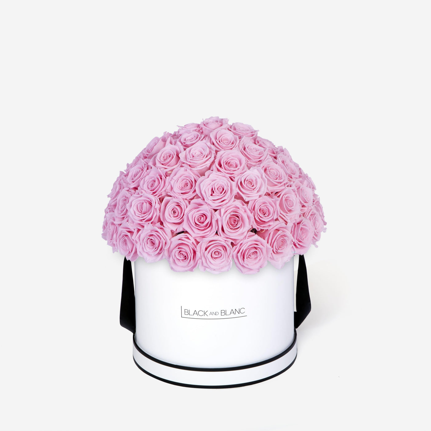 Bridal Pink Dôme Classic - Infinity Roses - BLACK AND BLANC