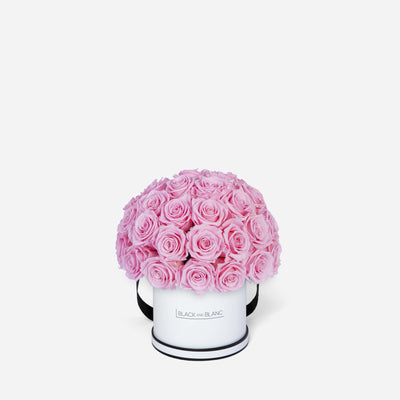 Bridal Pink Dôme Classic - Infinity Roses - BLACK AND BLANC