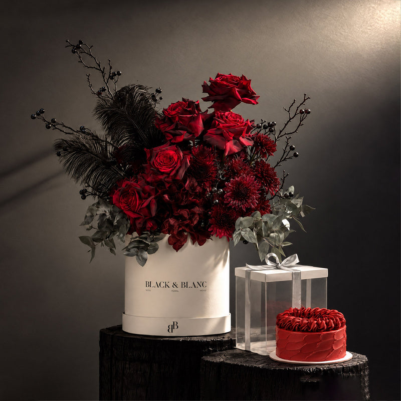 Bundle - Noir Gothic Delights - BLACK & BLANC