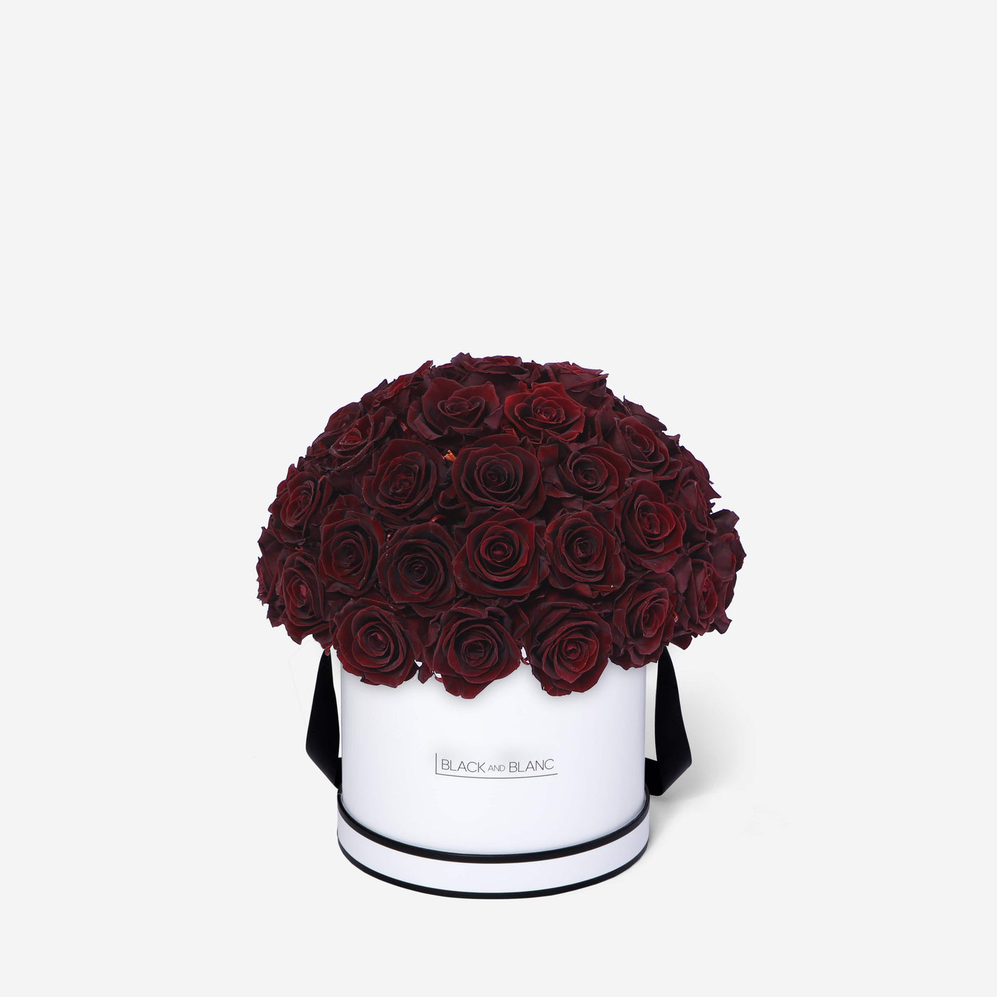 Burgundy Dôme Classic - Infinity Roses - BLACK AND BLANC