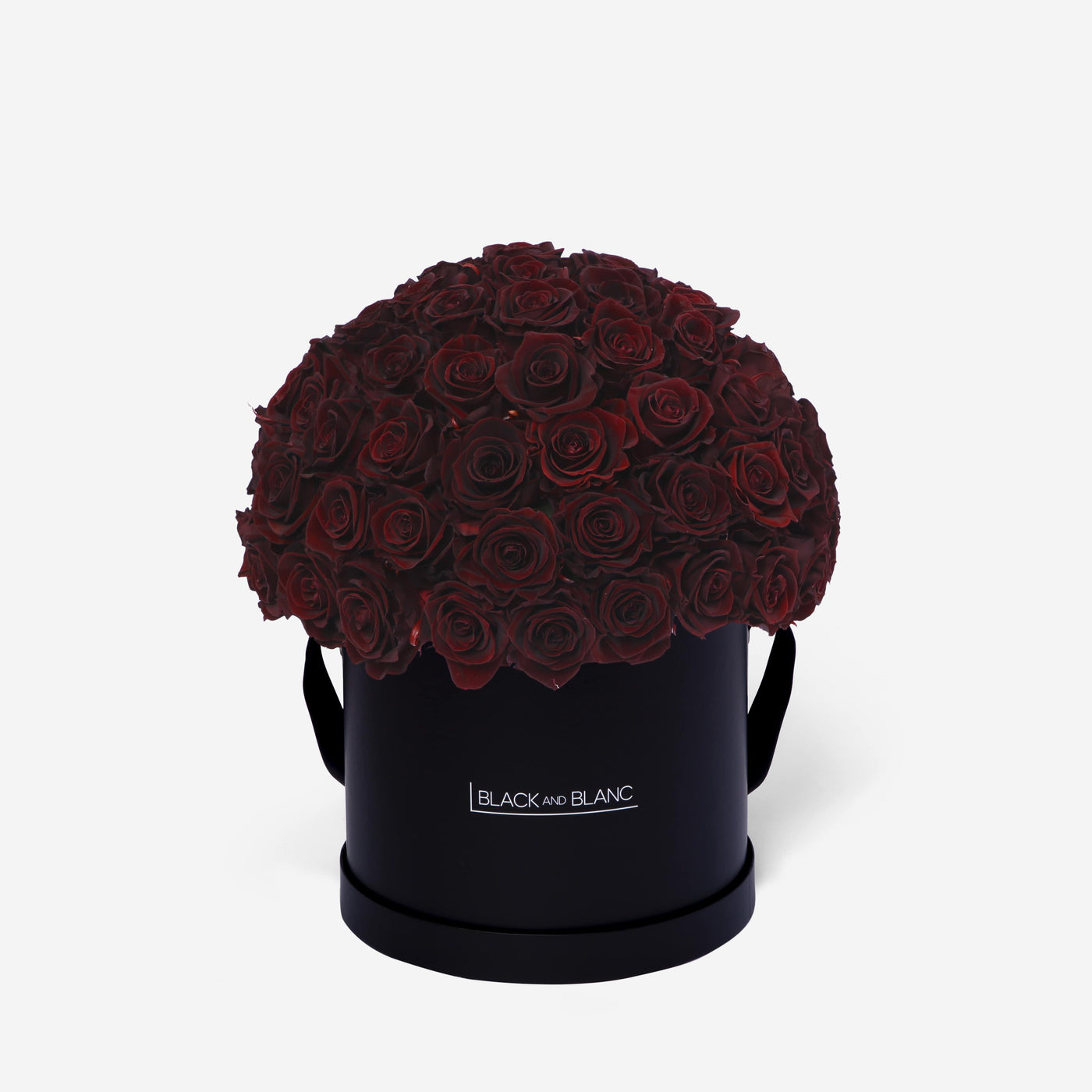 Burgundy Dôme Classic - Infinity Roses - BLACK AND BLANC