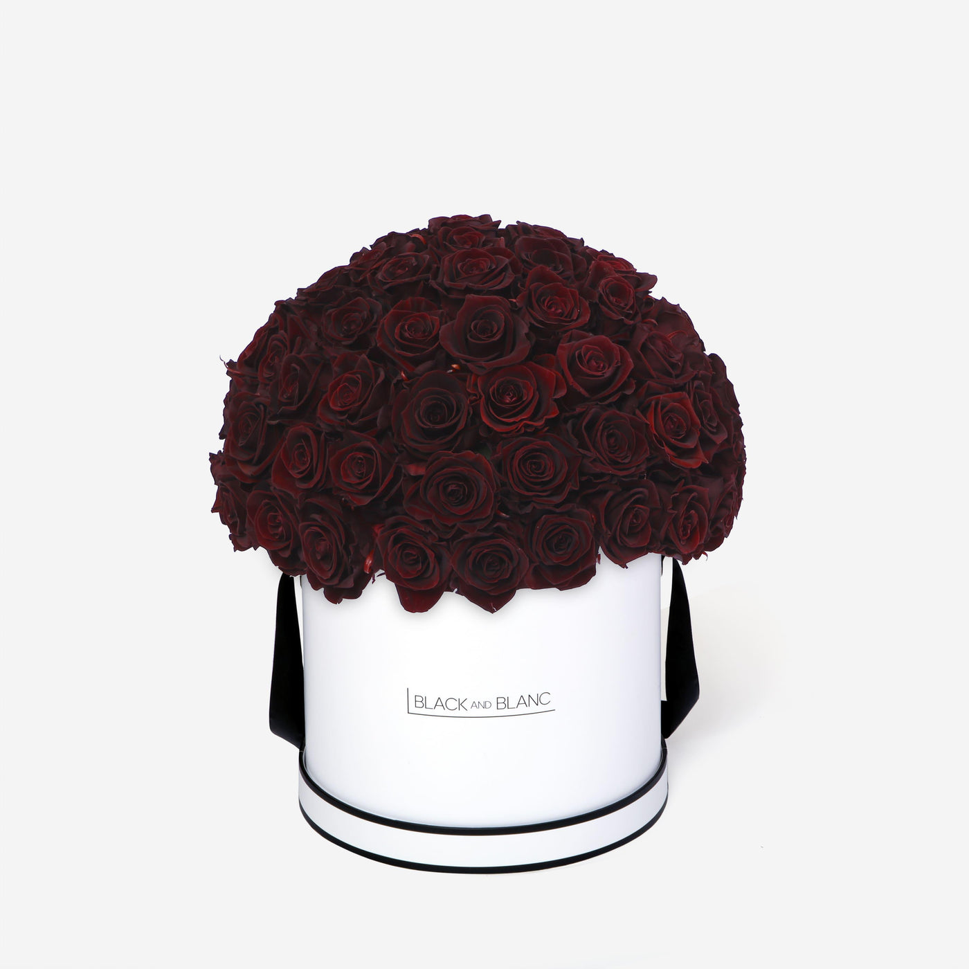 Burgundy Dôme Classic - Infinity Roses - BLACK AND BLANC