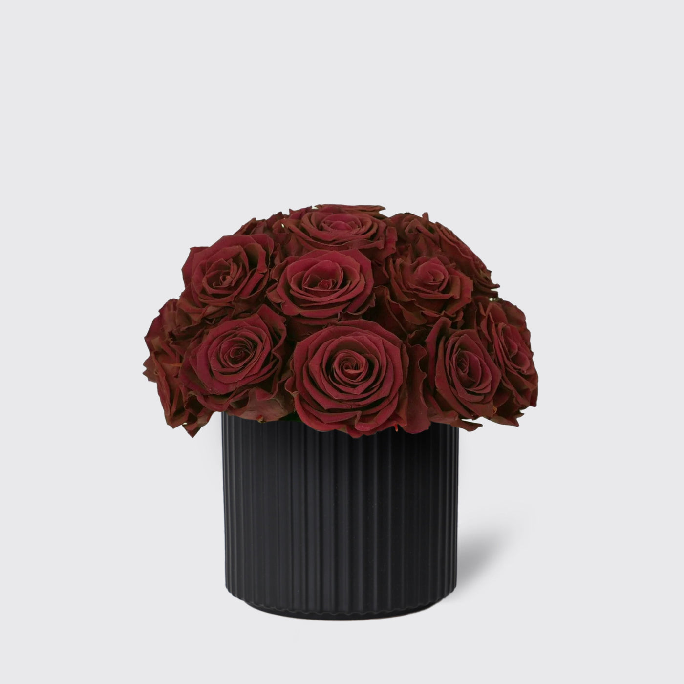 Burgundy Infinity in Vase - Infinity Roses - Le Medium / Black - Vase