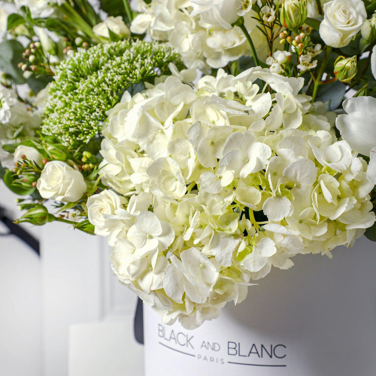 Cecile in Box - BLACK AND BLANC