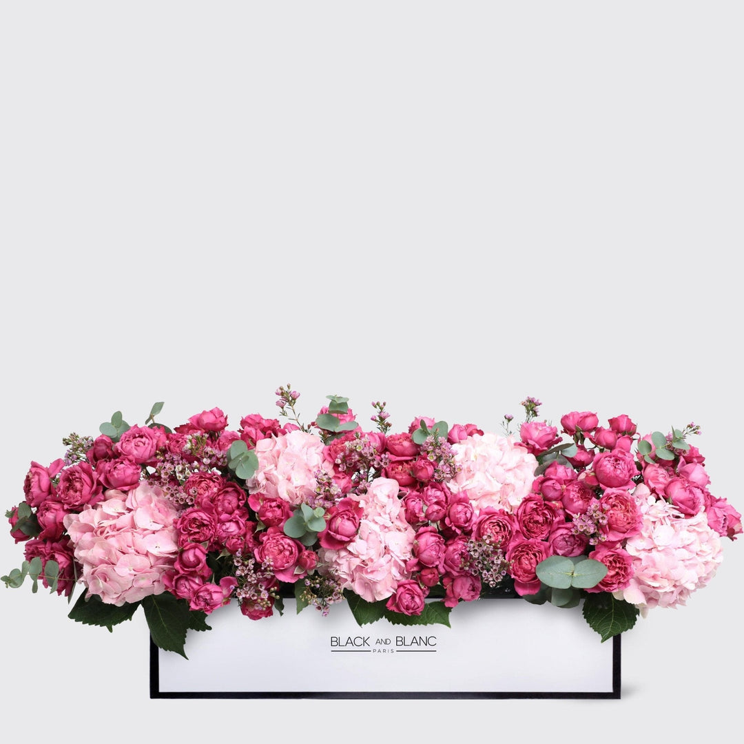 Celine in 1 Meter Box - BLACK AND BLANC