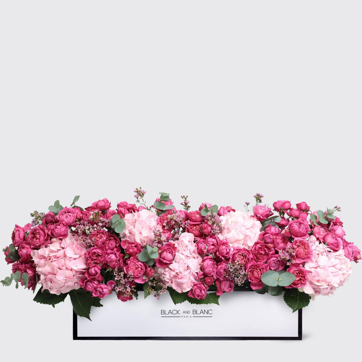 Celine in 1 Meter Box - BLACK AND BLANC