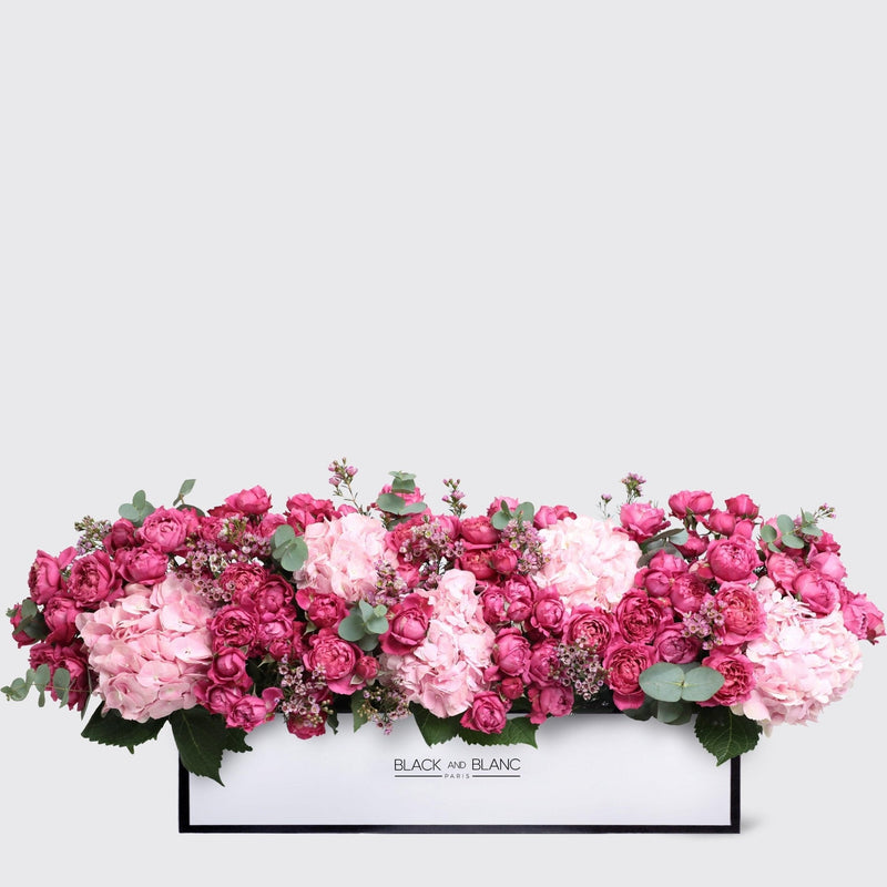 Celine in 1 Meter Box - BLACK AND BLANC