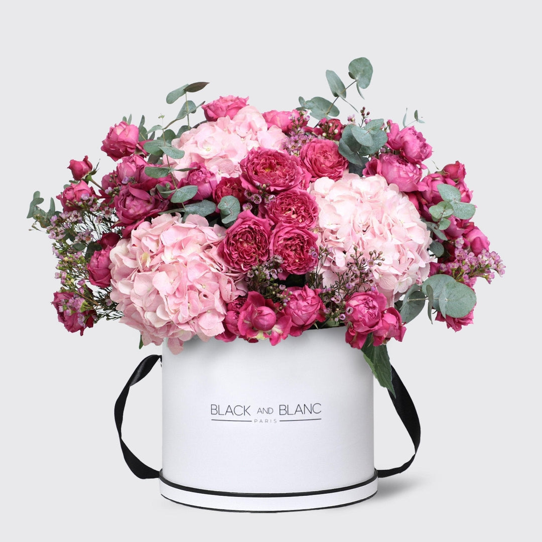 Celine in Box - BLACK AND BLANC