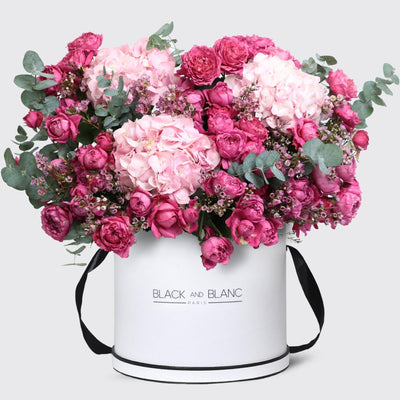 Celine in Box - BLACK AND BLANC