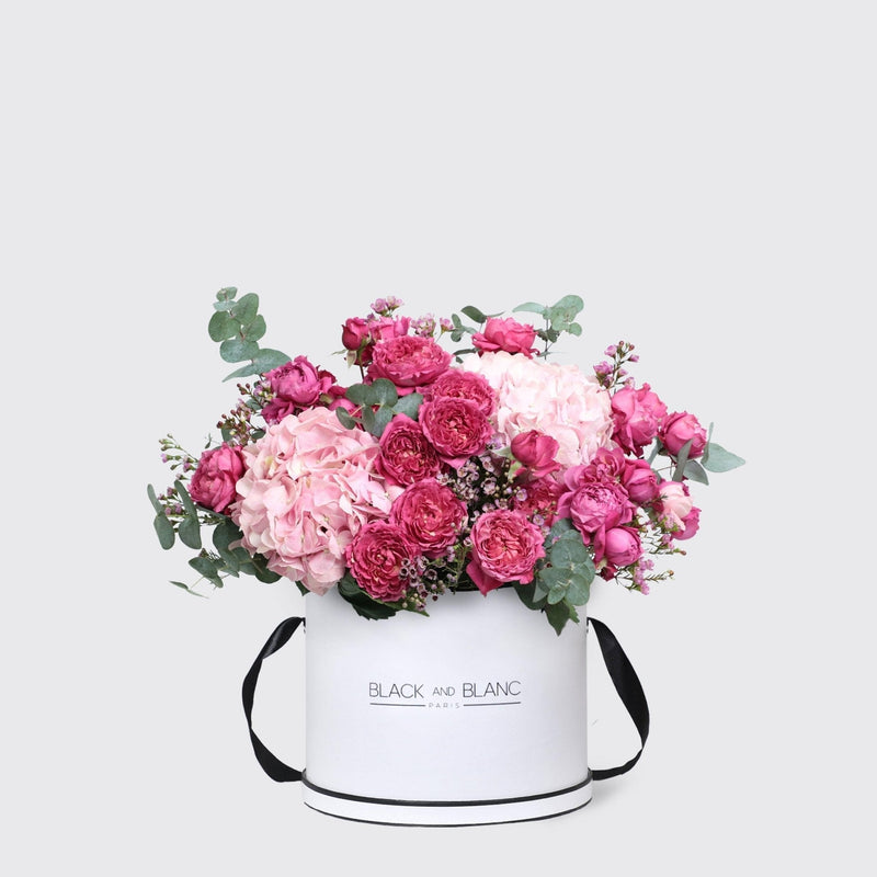 Celine in Box - BLACK AND BLANC