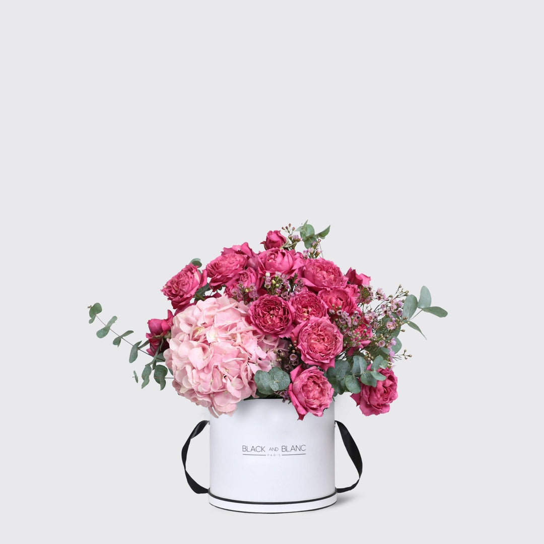 Celine in Box - BLACK AND BLANC