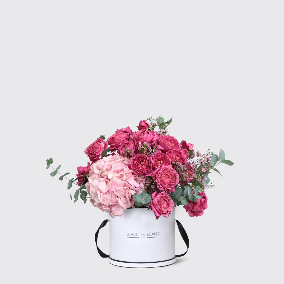 Celine in Box - BLACK AND BLANC