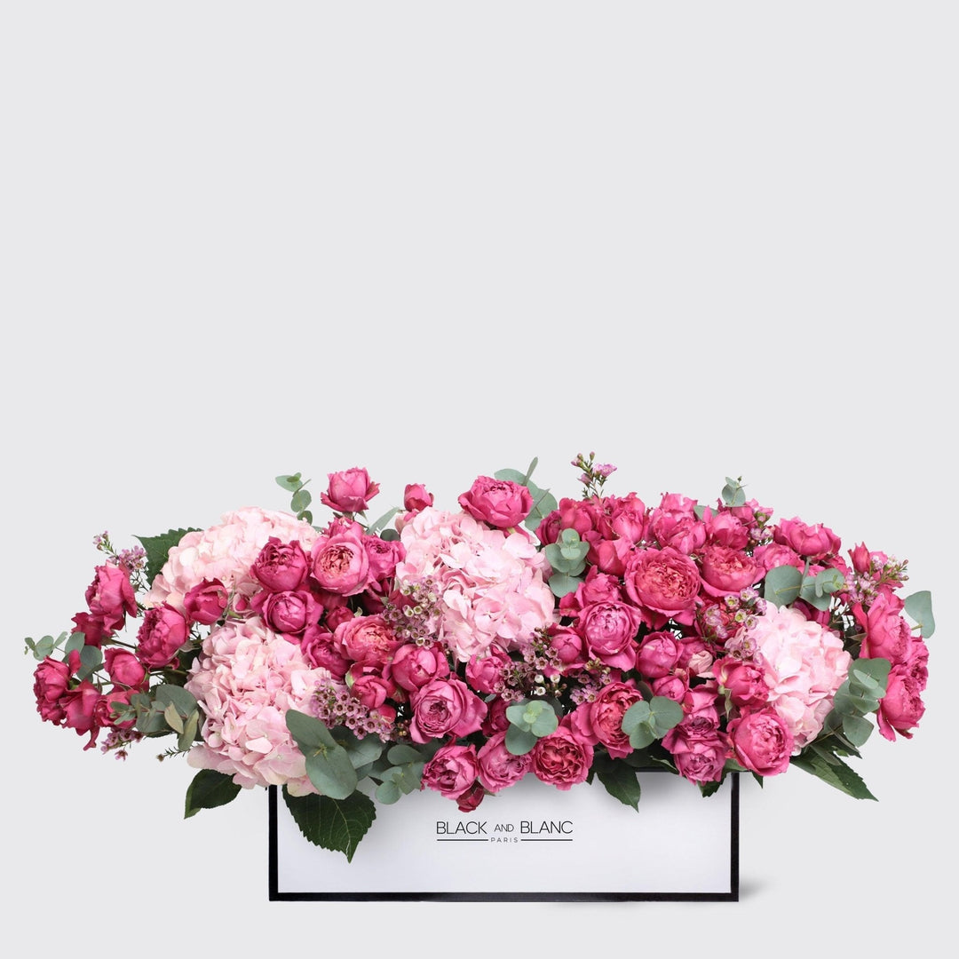 Celine in Half Meter Box - BLACK AND BLANC