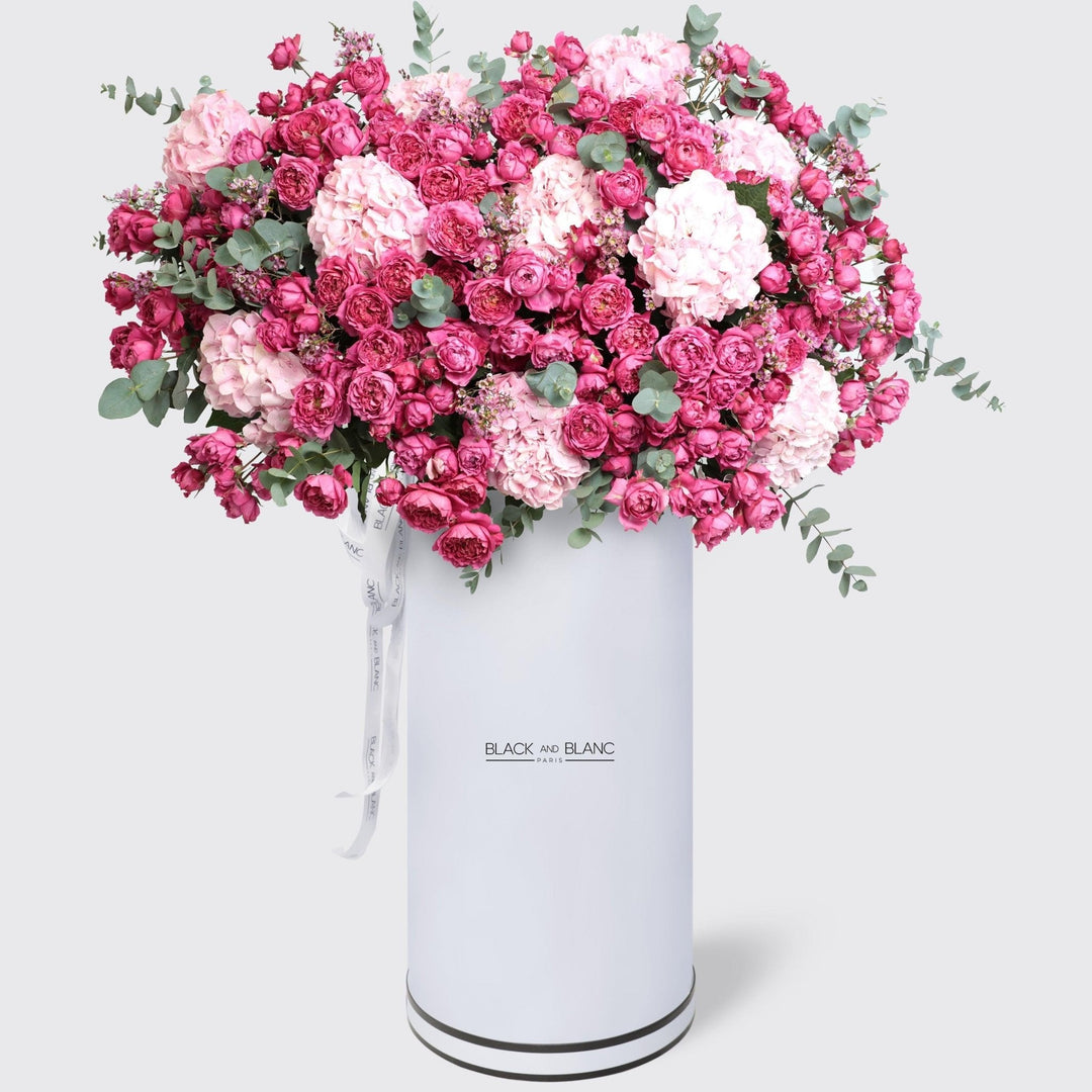 Celine in Pinnacle Box - BLACK AND BLANC