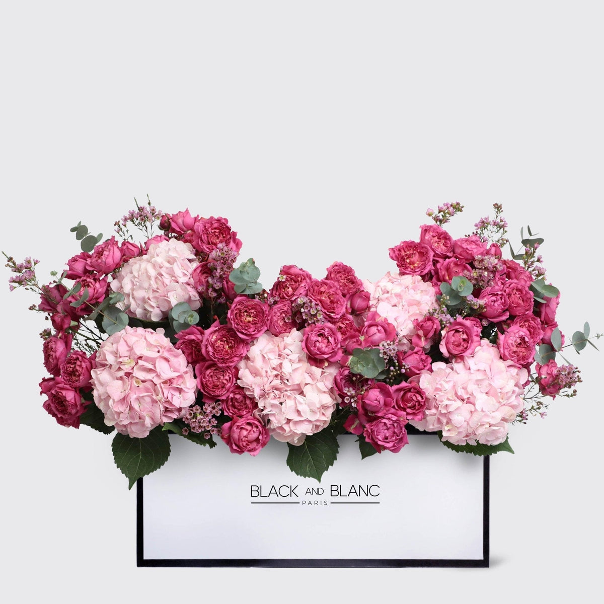 Celine in Zenith Box - BLACK AND BLANC